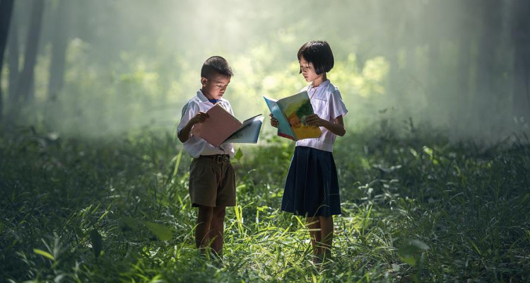 Suggestions de lecture jeunesse | Comprendre la nature, le monde et ce qui nous entoure