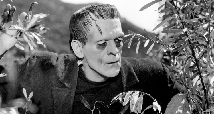 Frankenstein, mon ami d’enfance