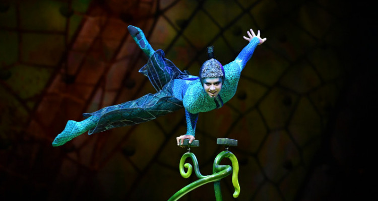 Le spectacle OVO du Cirque du Soleil au Centre Bell dès décembre 2024
