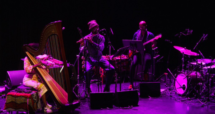 FIJM 2024 | Tour du monde avec Shabaka & Vieux Farka Touré