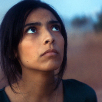 CINEMANIA | Animalia