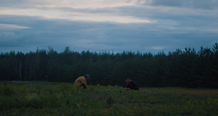 RIDM 2025 | «Les blues du bleuet», la douleur fertile