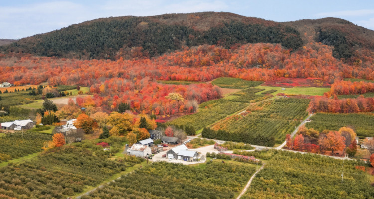 Les théâtres d'été au Québec d'hier à aujourd'hui : quand la grange devenait scène